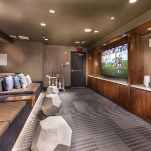 The Pierce: Media Room