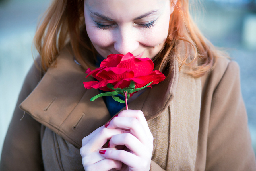 News from The Pierce - Adopt a Rose for Valentine’s Day
