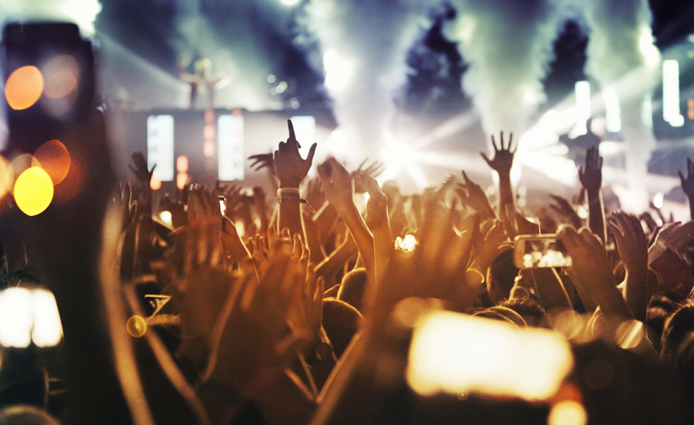 News from The Pierce - Bash Festival 2019